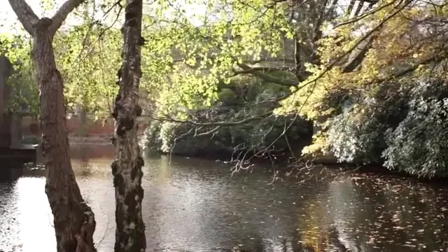 Herbst am Wassergraben