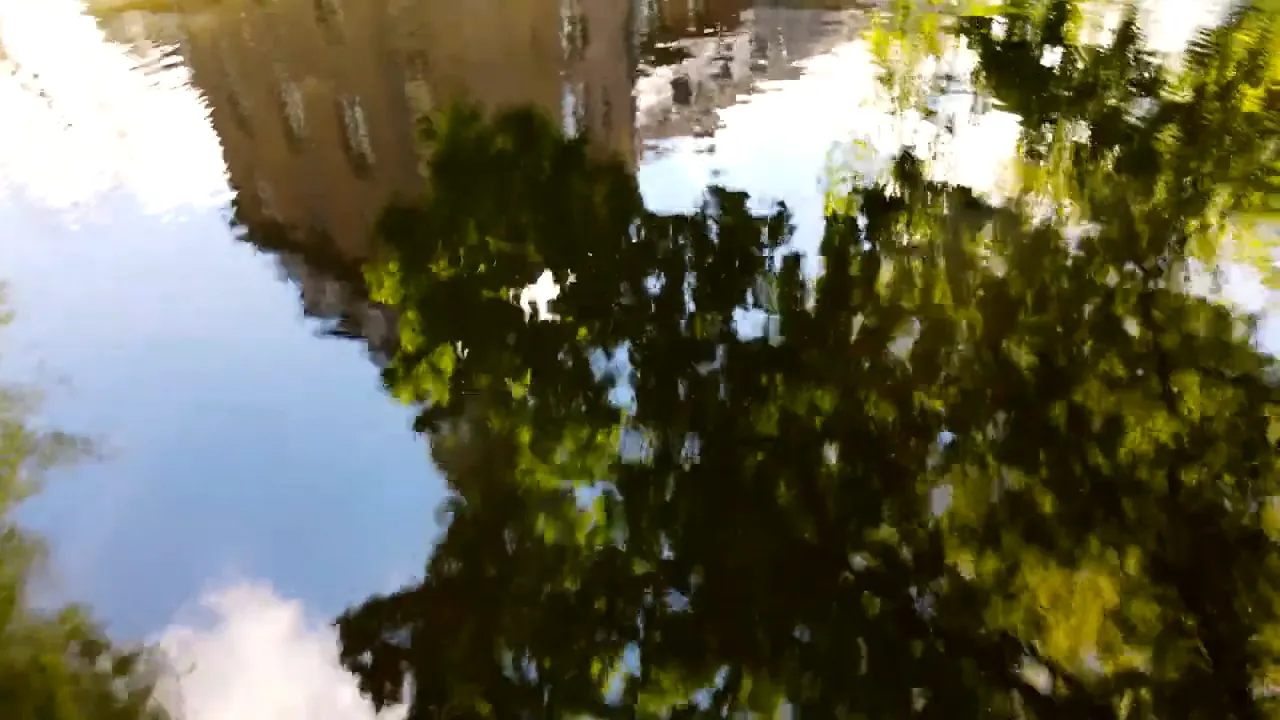 Bäume und Himmel spiegeln sich im Wassergraben des Schlossparks